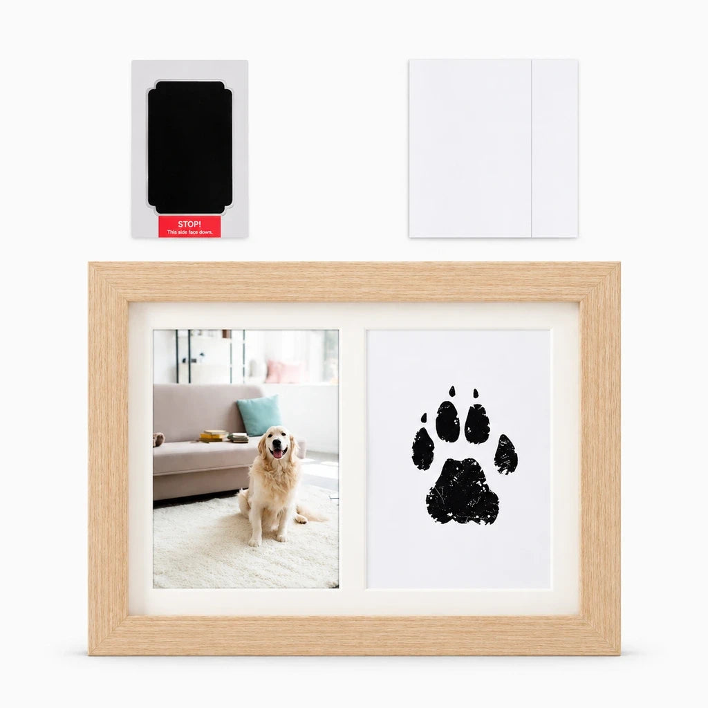 Cadre photo chien jaune avec empreinte de patte noir capturée sur surface blanche