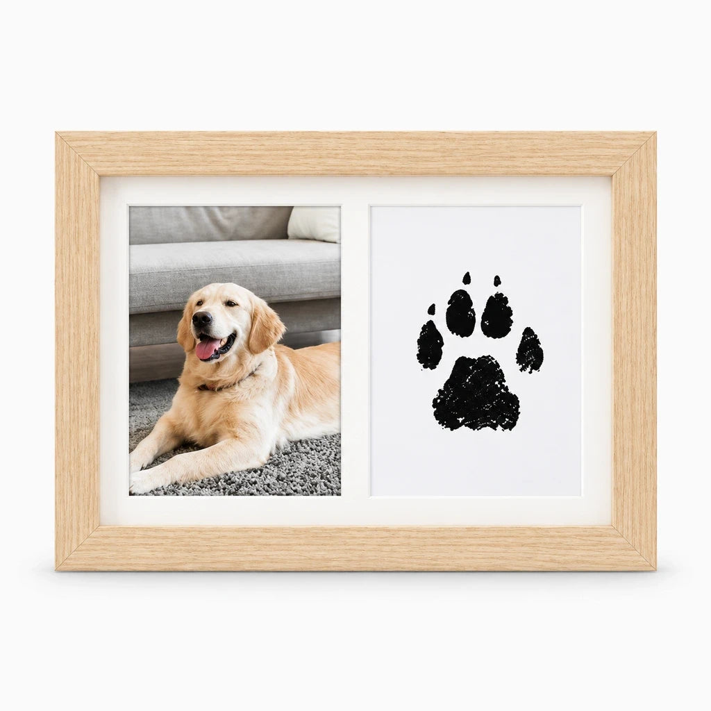 Détail gros plan d'une empreinte de patte fraîchement capturée dans un cadre photo chien blanc